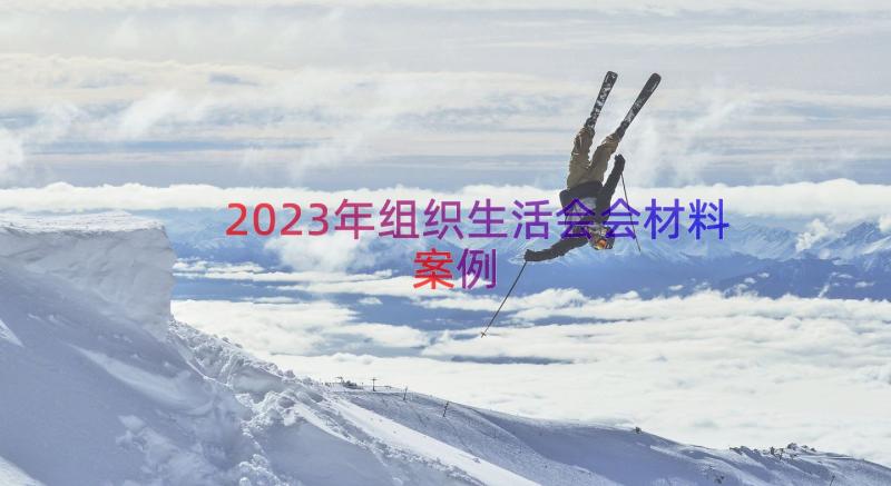 2023年组织生活会会材料（案例12篇）