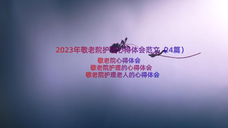 2023年敬老院护理心得体会范文（24篇）