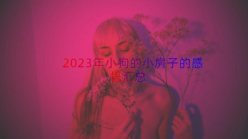 2023年小狗的小房子的感悟（汇总15篇）