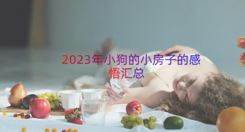 2023年小狗的小房子的感悟（汇总17篇）