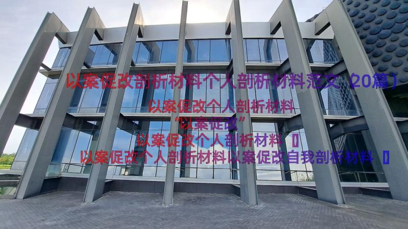 以案促改剖析材料个人剖析材料范文（20篇）