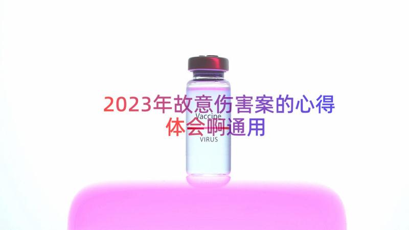 2023年故意伤害案的心得体会啊（通用13篇）