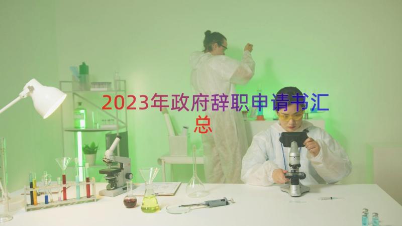 2023年政府辞职申请书（汇总20篇）