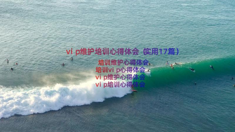 vip维护培训心得体会（实用17篇）