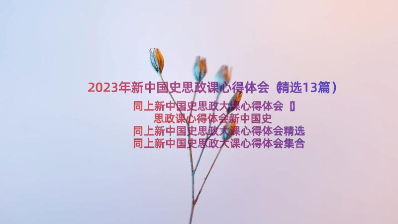 2023年新中国史思政课心得体会（精选13篇）