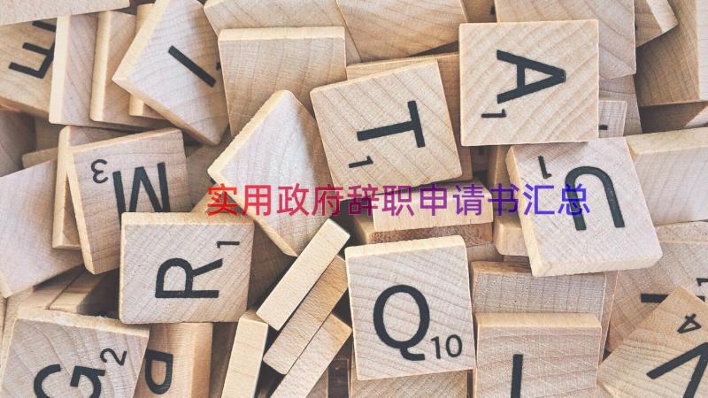 实用政府辞职申请书（汇总13篇）