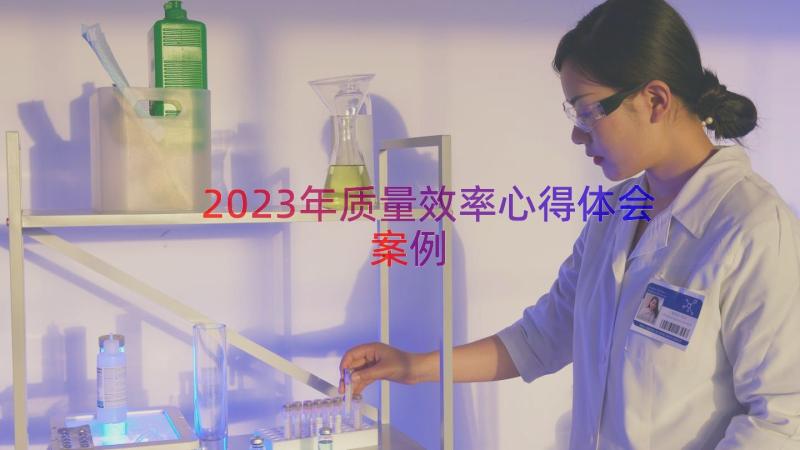 2023年质量效率心得体会（案例16篇）