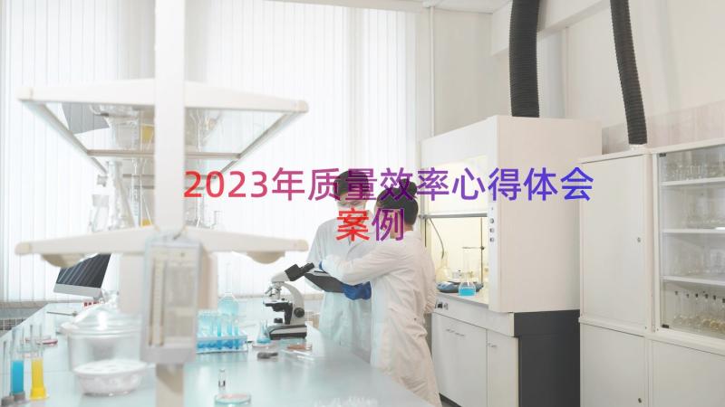 2023年质量效率心得体会（案例17篇）