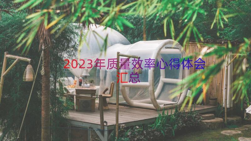 2023年质量效率心得体会（汇总16篇）