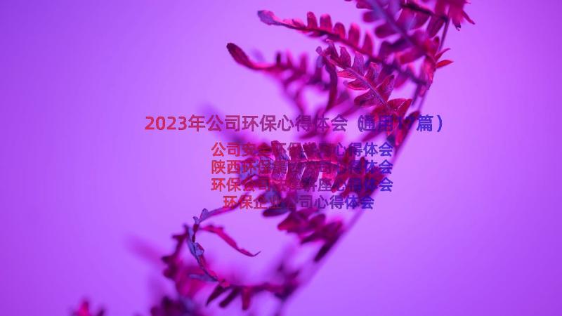 2023年公司环保心得体会（通用17篇）