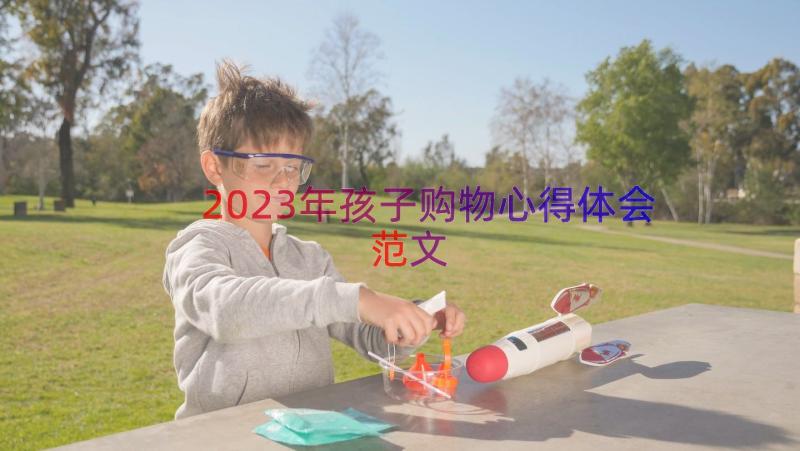 2023年孩子购物心得体会范文（14篇）