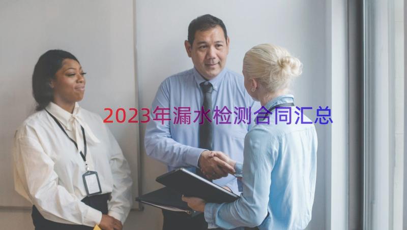 2023年漏水检测合同（汇总16篇）