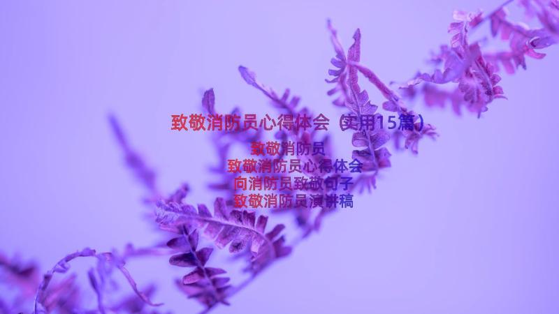 致敬消防员心得体会（实用15篇）