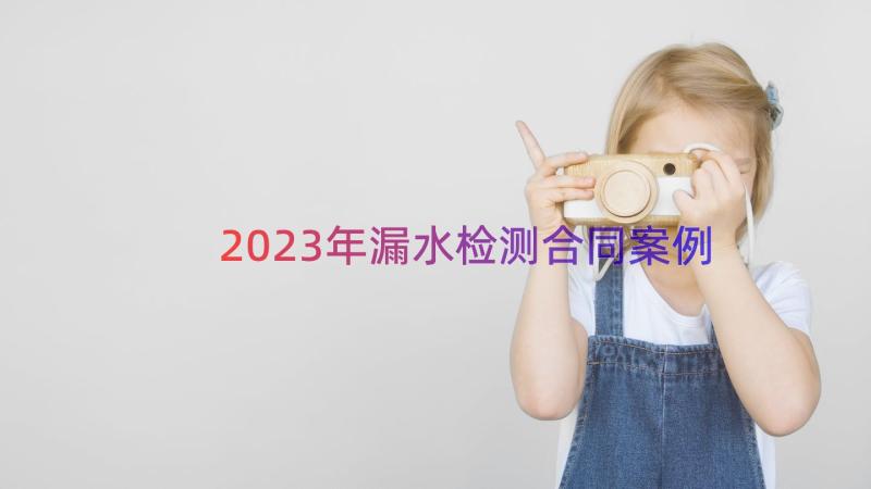 2023年漏水检测合同（案例17篇）