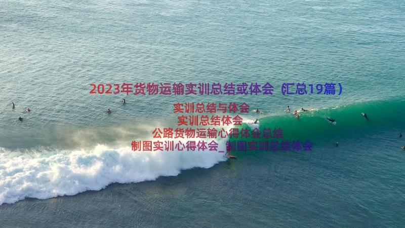 2023年货物运输实训总结或体会（汇总19篇）