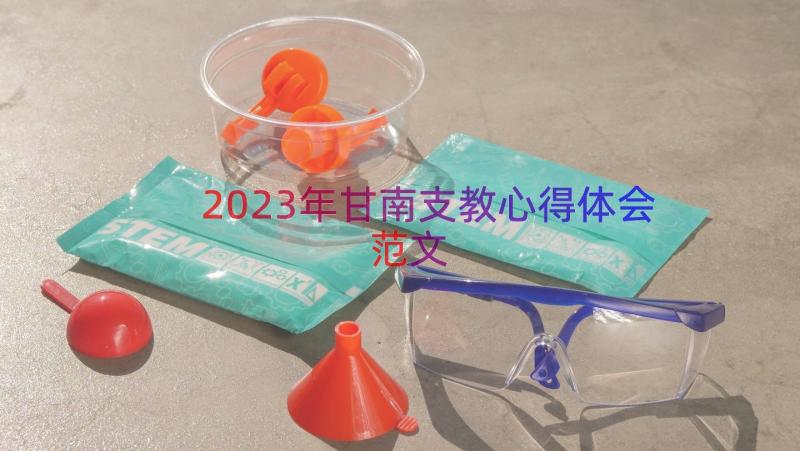 2023年甘南支教心得体会范文（18篇）