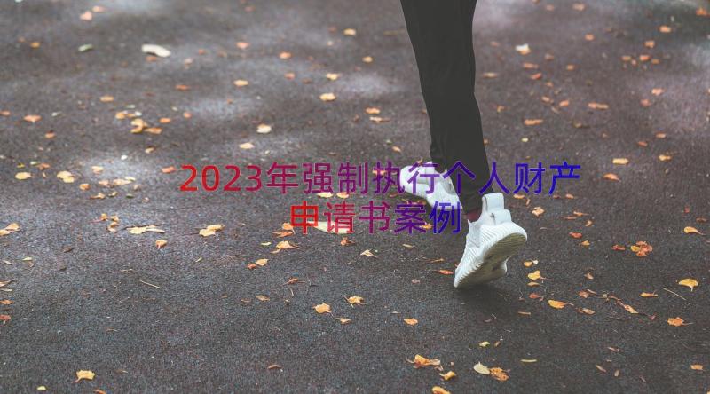 2023年强制执行个人财产申请书（案例16篇）