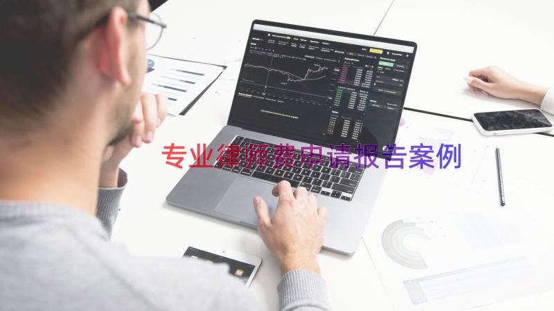 专业律师费申请报告（案例15篇）