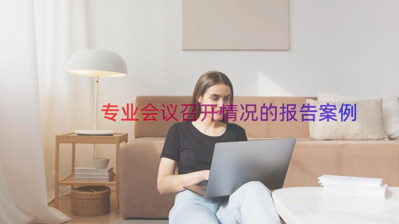 专业会议召开情况的报告（案例18篇）