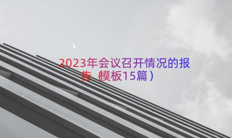 2023年会议召开情况的报告（模板15篇）