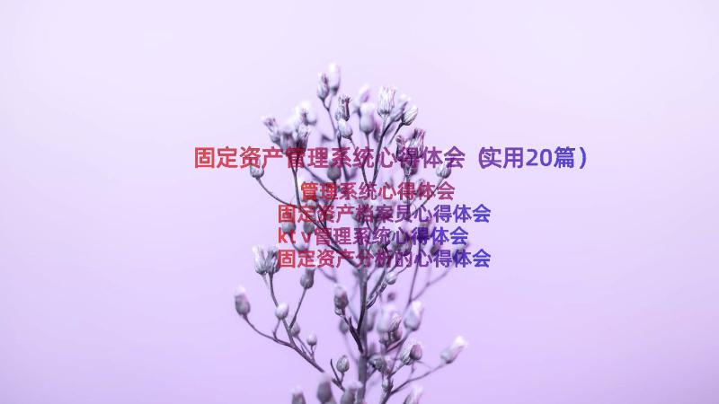 固定资产管理系统心得体会（实用20篇）