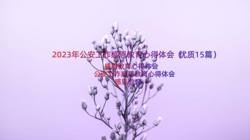 2023年公安工作感恩教育心得体会（优质15篇）