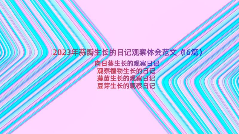 2023年蒜瓣生长的日记观察体会范文（16篇）