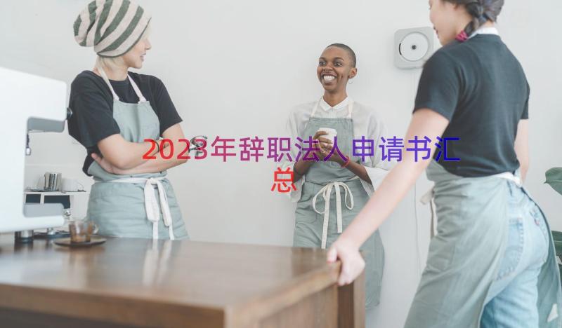 2023年辞职法人申请书（汇总16篇）