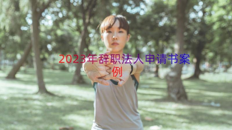 2023年辞职法人申请书（案例19篇）