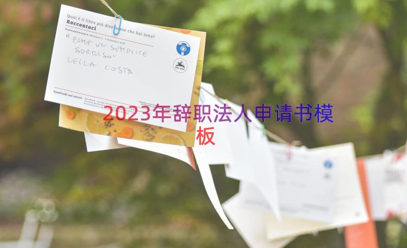 2023年辞职法人申请书（模板17篇）