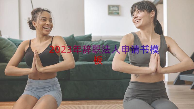 2023年辞职法人申请书（模板14篇）