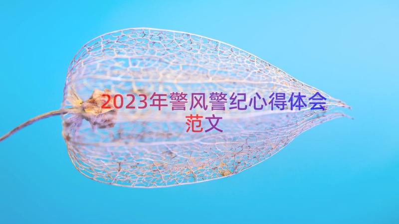 2023年警风警纪心得体会范文（15篇）