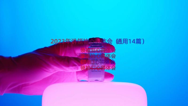 2023年讲领袖心得体会（通用14篇）