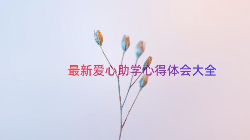 最新爱心助学心得体会大全（13篇）