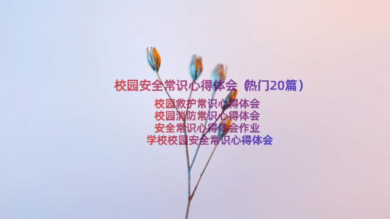 校园安全常识心得体会（热门20篇）