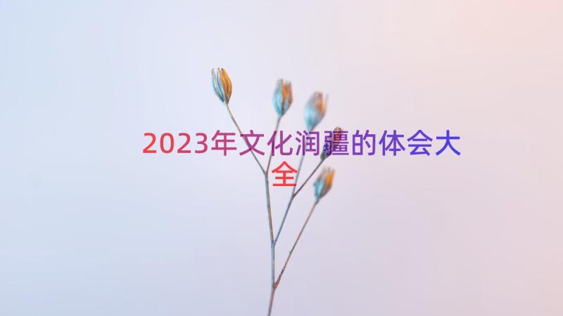 2023年文化润疆的体会大全（16篇）