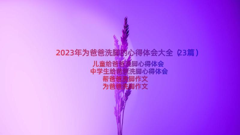 2023年为爸爸洗脚的心得体会大全（23篇）