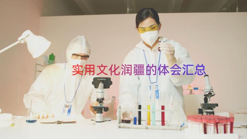 实用文化润疆的体会（汇总12篇）