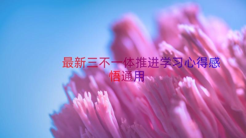 最新三不一体推进学习心得感悟通用