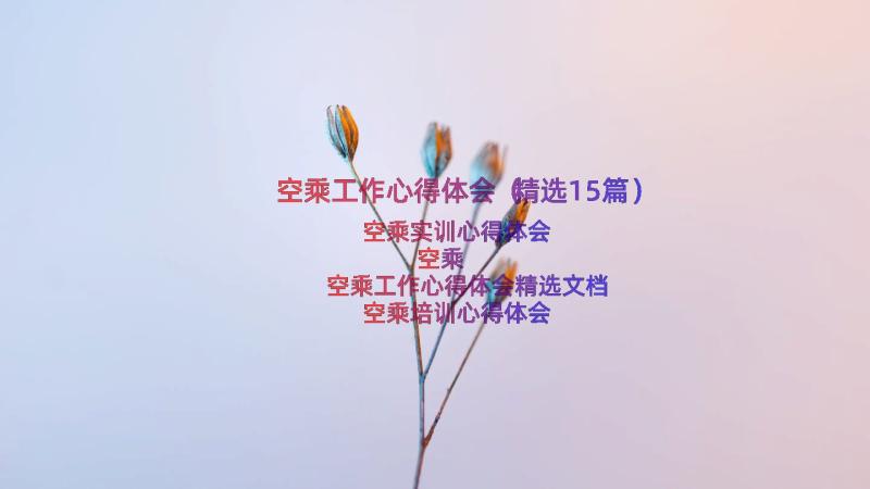 空乘工作心得体会（精选15篇）