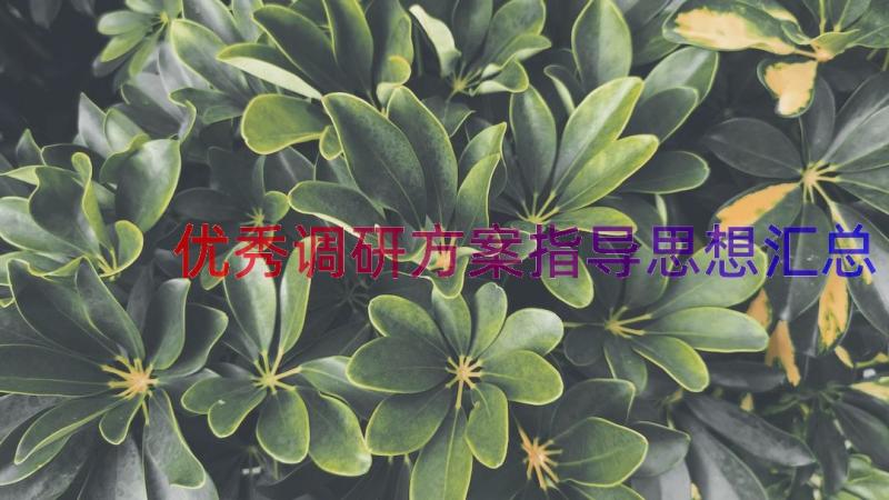 优秀调研方案指导思想（汇总12篇）