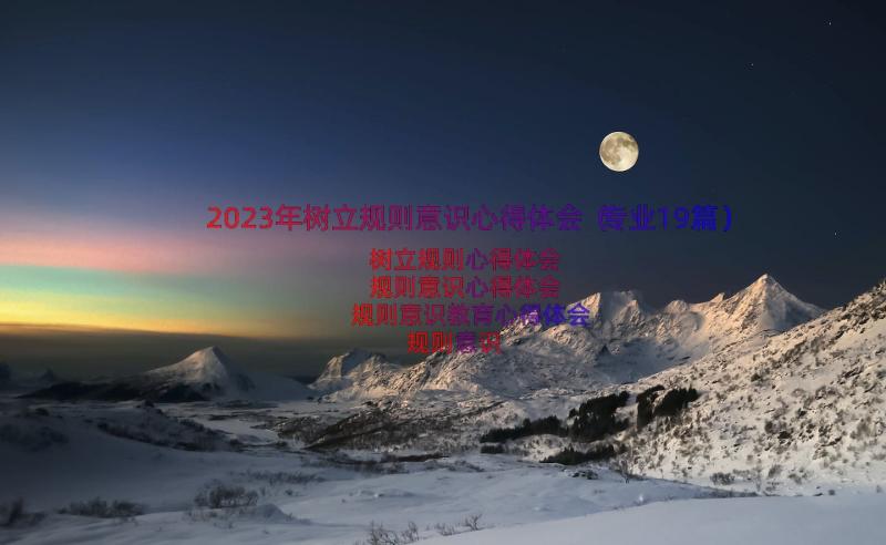 2023年树立规则意识心得体会（专业19篇）