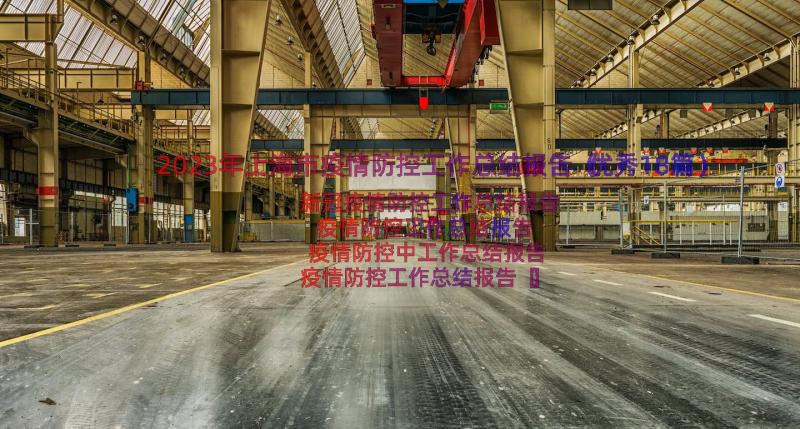 2023年上海市疫情防控工作总结报告（优秀18篇）