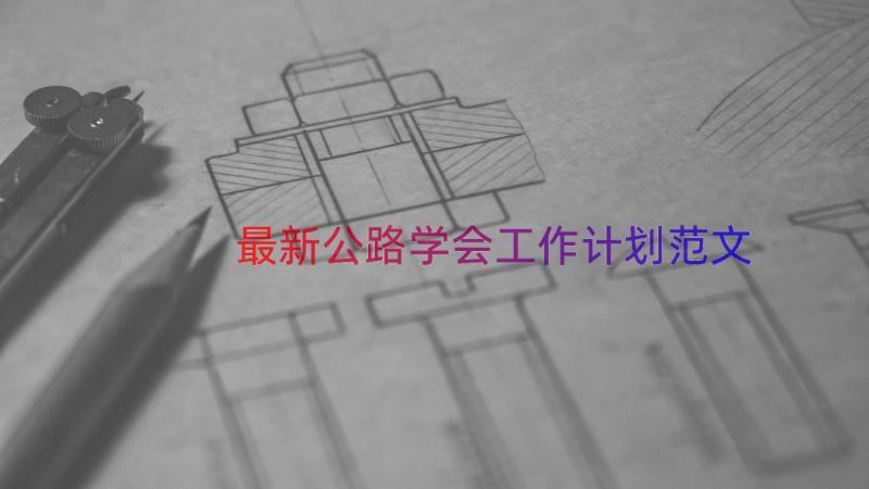 最新公路学会工作计划范文（13篇）