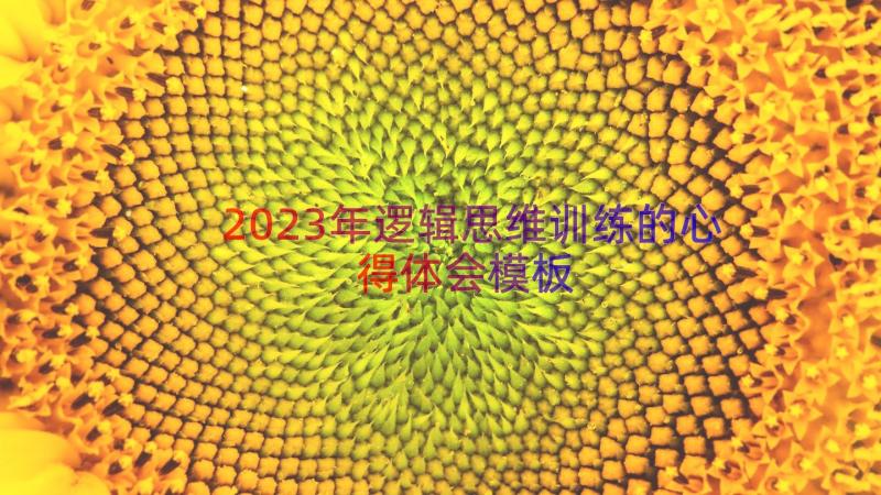 2023年逻辑思维训练的心得体会（模板16篇）