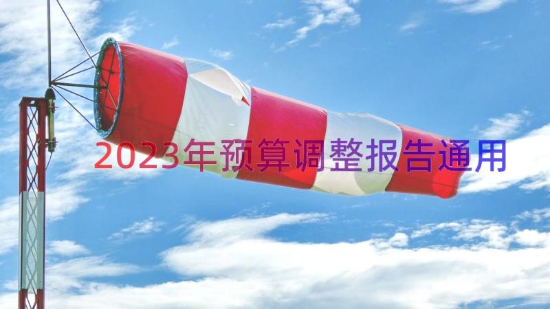 2023年预算调整报告（通用17篇）