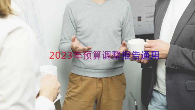 2023年预算调整报告（通用12篇）