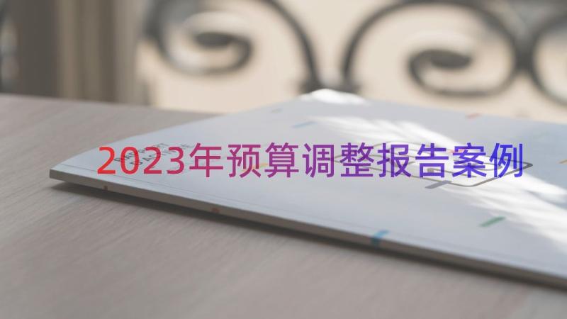 2023年预算调整报告（案例12篇）