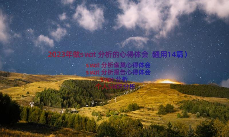 2023年做swot分析的心得体会（通用14篇）