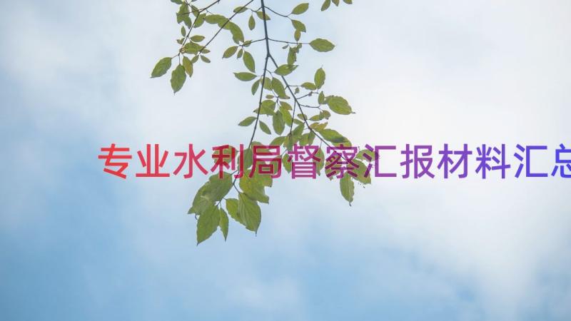 专业水利局督察汇报材料（汇总14篇）